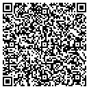 QR code with Crystal Clean N Shine contacts