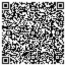 QR code with Pristine Clean LLC contacts