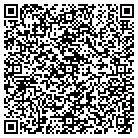 QR code with Professional Floor Layers contacts