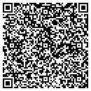 QR code with Premier Spa contacts