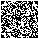 QR code with Cleaner Professionals contacts