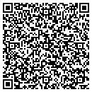 QR code with Sts Arms LLC contacts