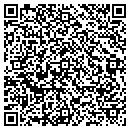 QR code with Precision Consulting contacts