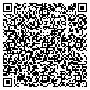 QR code with Pueblo Lock Doc LLC contacts