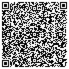 QR code with PULASKI LOCK SOLUTIONS contacts