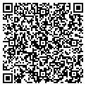 QR code with Tewnty contacts