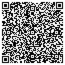 QR code with Pyrianos Collections Inc contacts