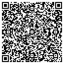 QR code with Pro Soundtek contacts