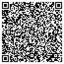 QR code with Practical Angle contacts