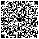 QR code with Plumtree Art & Framing contacts