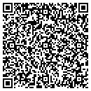 QR code with Psi Equipment contacts