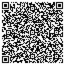 QR code with Precision Tool Design contacts