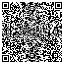 QR code with Pulido Presentacion contacts