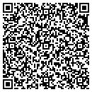 QR code with Baldwin El Mike Ins contacts