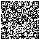 QR code with Carl T Jones CO contacts