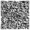 QR code with Publicia Press contacts