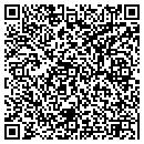 QR code with Pv Maintenance contacts