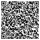 QR code with Public Library contacts
