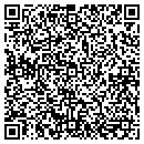 QR code with Precision Pumps contacts