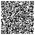 QR code with Willow contacts