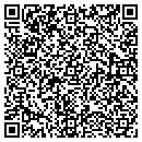 QR code with Promy Chemical LLC contacts