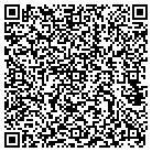 QR code with Public Access Committee contacts