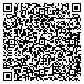 QR code with Fefi contacts