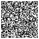 QR code with Castlewood School contacts