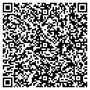 QR code with Clu Brian J Little contacts