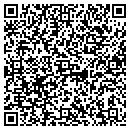 QR code with Bailey-PVS Oxides LLC contacts