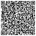 QR code with C D Johnson Accounting Sltns contacts