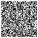 QR code with Premier Tax contacts