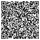 QR code with Premier Glaze contacts