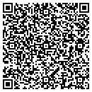 QR code with Progressive Process contacts