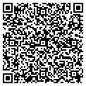 QR code with Signal contacts