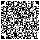 QR code with Plains Elementary School contacts