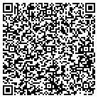 QR code with Pulaski Elementary School contacts