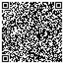 QR code with Cobra Security Systems contacts
