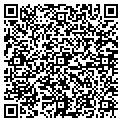 QR code with Dollies contacts