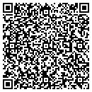 QR code with Precise Tax Service contacts