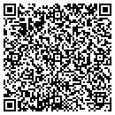 QR code with Practice Made Perfect contacts