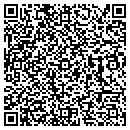 QR code with Protection 1 contacts