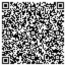 QR code with Protection 1 contacts
