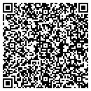 QR code with Profile Strategies contacts
