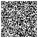 QR code with Cisler Theresa A DO contacts