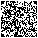 QR code with Protection 1 contacts