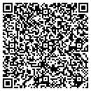 QR code with Professional Security contacts