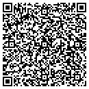 QR code with Pt Truck Insurance contacts