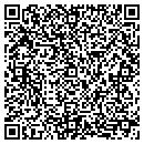 QR code with Pzs & Assoc Inc contacts
