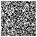 QR code with Cyberian Design Inc contacts